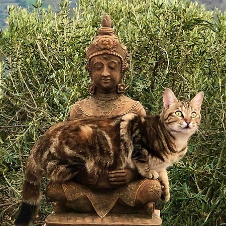 Casa Ganesha Villa Comares Dış mekan fotoğraf