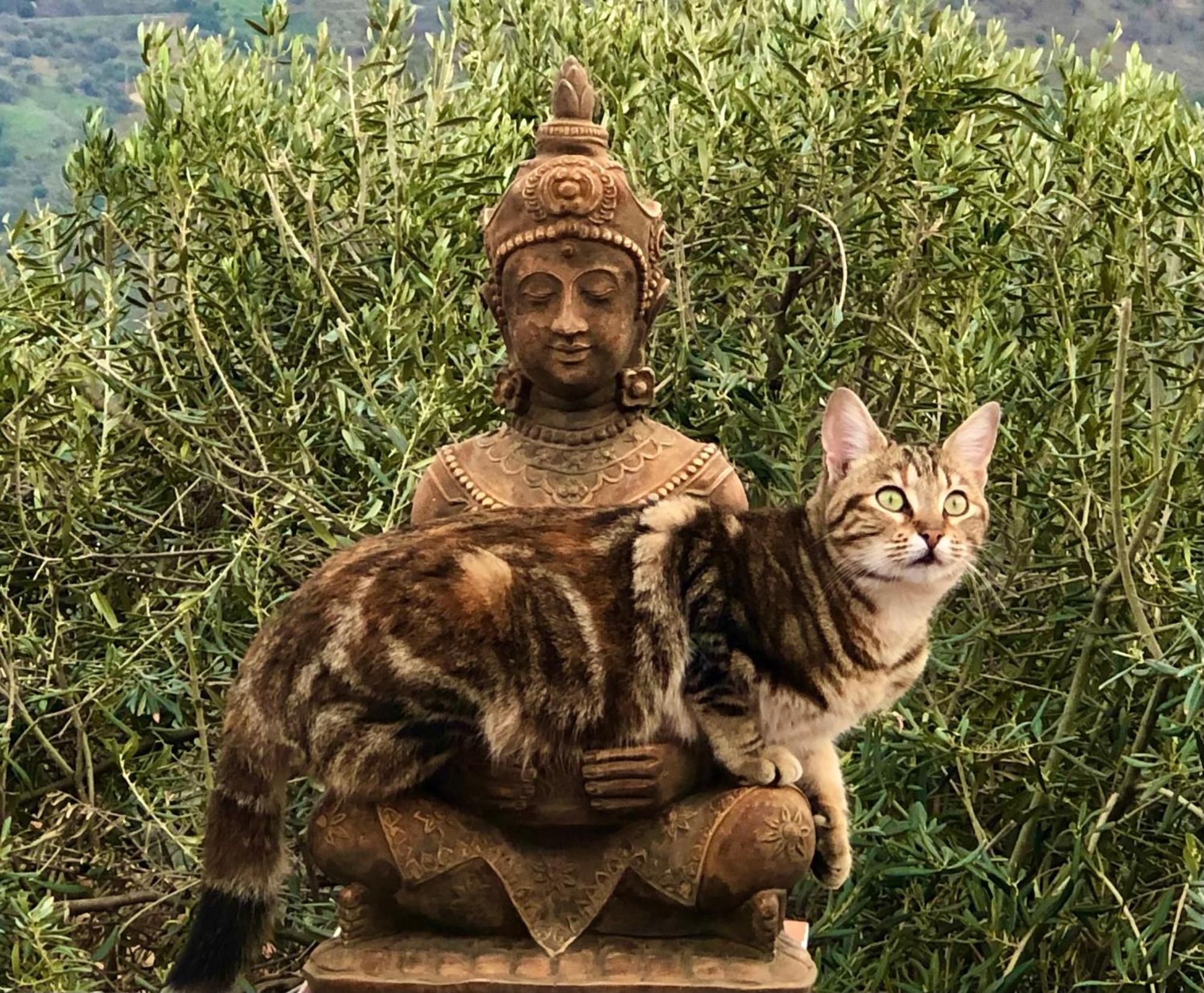 Casa Ganesha Villa Comares Dış mekan fotoğraf